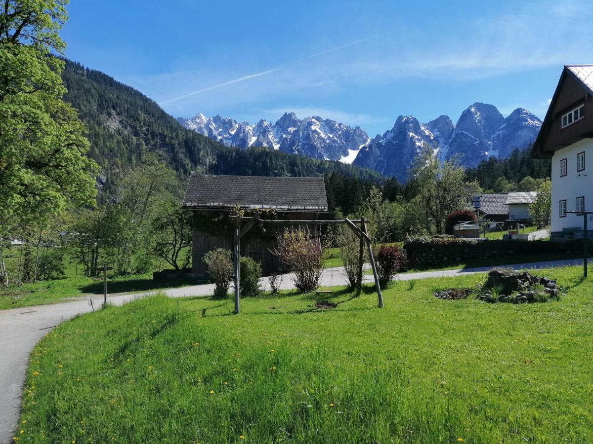 Ferienwohnungen Asterbach โกเซา ภายนอก รูปภาพ