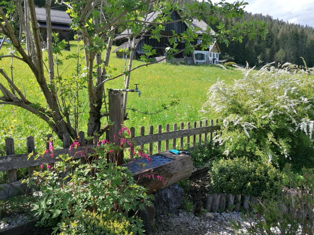 Ferienwohnungen Asterbach โกเซา ภายนอก รูปภาพ