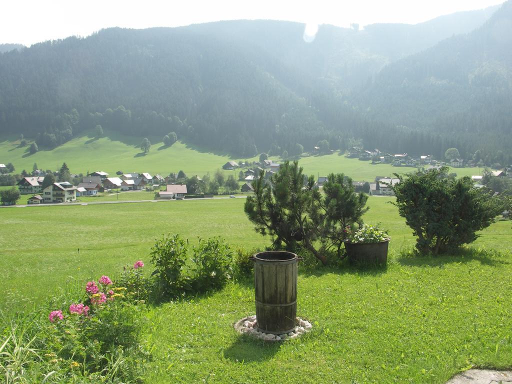 Ferienwohnungen Asterbach โกเซา ภายนอก รูปภาพ