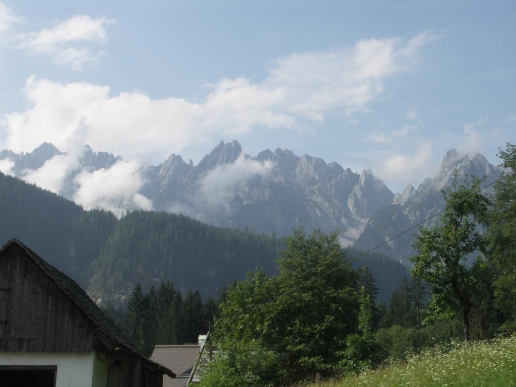 Ferienwohnungen Asterbach โกเซา ภายนอก รูปภาพ